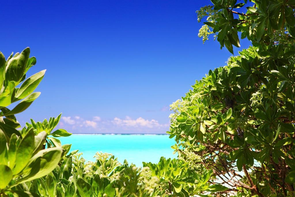 Holiday Cottage Thoddoo, Maldives Екстер'єр фото