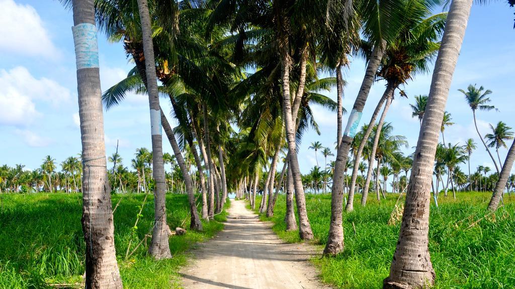 Holiday Cottage Thoddoo, Maldives Екстер'єр фото
