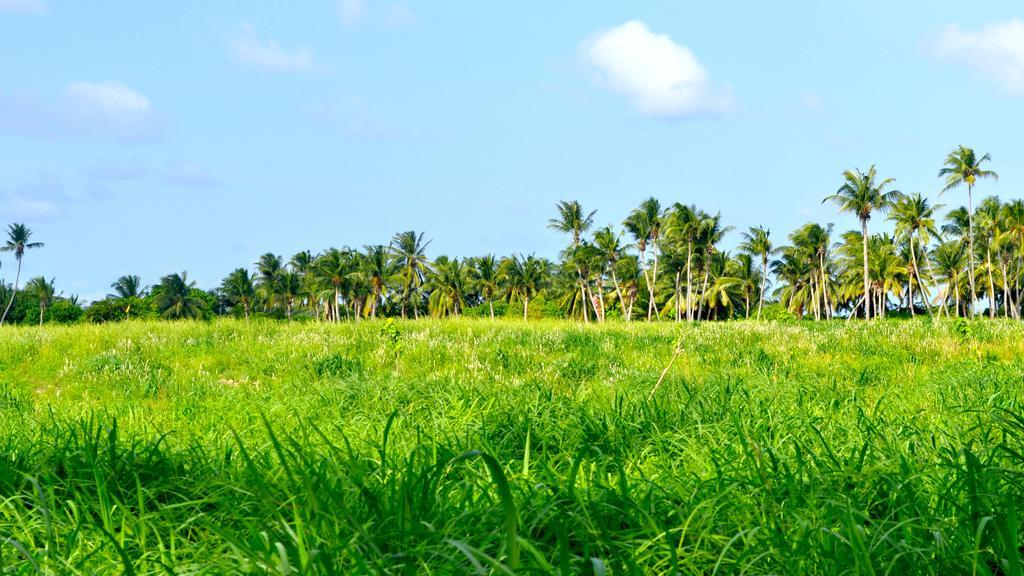 Holiday Cottage Thoddoo, Maldives Екстер'єр фото