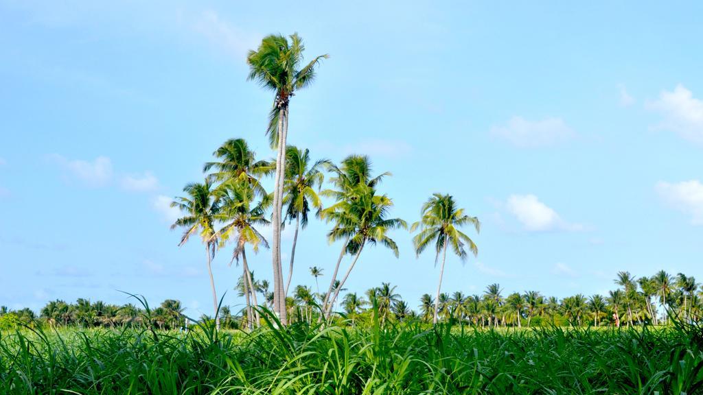 Holiday Cottage Thoddoo, Maldives Екстер'єр фото